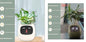 Smart Planter Endless Fun Over 49 Rich Expressions 7 Smart Sensors And AI Chips Make Raising Plants Easy And Fun